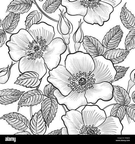 Floral Seamless Pattern Flower Silhouette Black And White Background