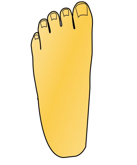 Free Download Toe Clip Art Feet Feet Clip Art 803x995 Png