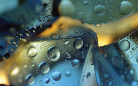 Water Droplets Macro Photography Hd Wallpaper Wallpaper Flare