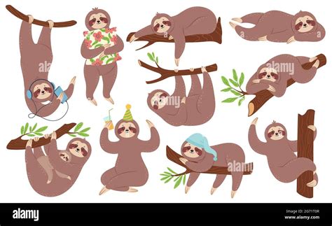 Sloths Africa Stock Vector Images Alamy