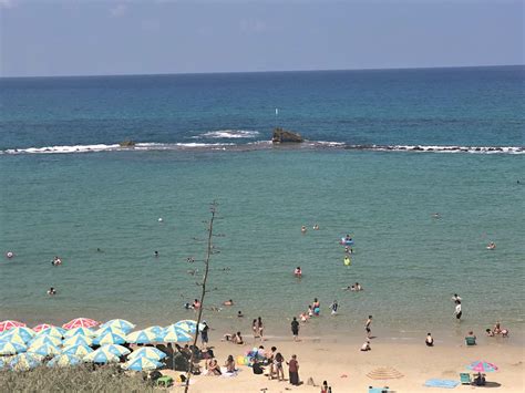 כולל מחירי דירות שנמכרו בפועל, פרויקטים חדשים, חוות דעת של שכנים, מפה , אוכלוסיה ושכנים, בתי ספר , גני ילדים , אנטנות סלולריות, מפגעים ועוד. חוף הסלע בת ים תמונות - Idaman
