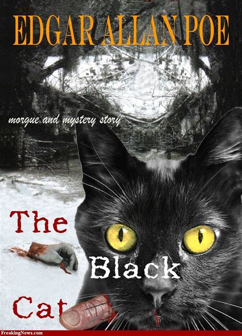 The Black Cat By Edgar Alan Poe Edgar Allan Poe Poe Cat Books