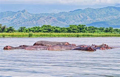 Arba Minch Lake Chamo Ethiopia 1 Photograph By Bill Bachmann Fine