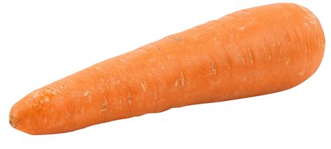 Fat Orange Carrot Png Image Purepng Free Transparent Cc0 Png Image