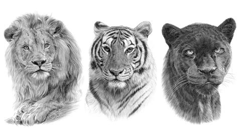 Maybe you would like to learn more about one of these? Worldwide page - Signed pencil drawing prints for sale from artist Gary Tymon