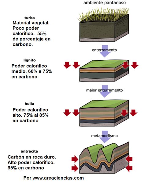 Clasificacion Del Carbon El Carbon