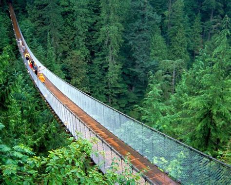 16 Fun Activities For Kids In Vancouver Capilano Suspension Bridge