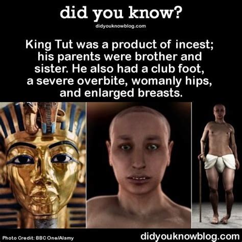 Things I Never Learned About King Tut In School Funny Facts Weird