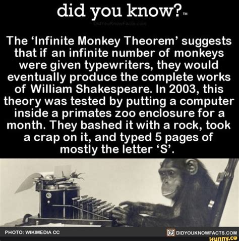 Did You Know The Infinite Monkey Theorem Suggests That If An