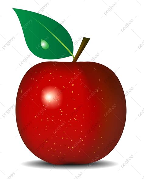 Fresh Apple Clipart Png Images Vector Illustration Of Fresh Red Apple