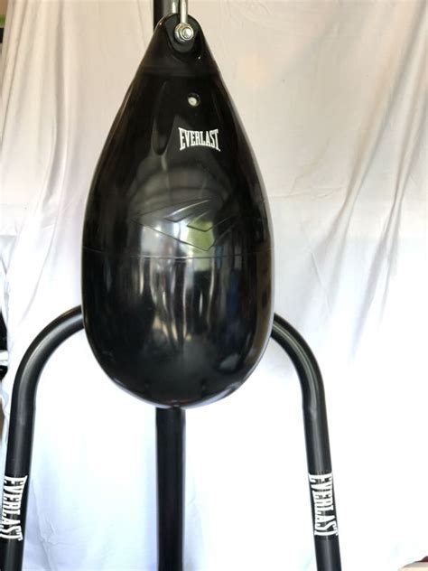 Everlast Punching Bag 100 Lbs