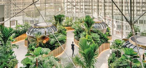 Biophilic Design Bridging Nature And Built Environment For Human Well