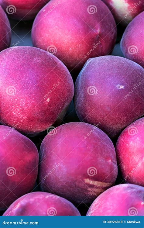 Juicy Purple Peaches Royalty Free Stock Photos Image 30926818