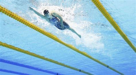 Indian Swimmers Win 47 Medals At Asian Aquatic Championship Sport
