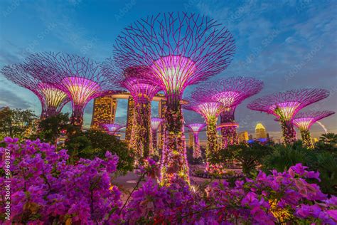 Night View Of The Supertree Grove At Gardens By The Bay Stock Foto Adobe Stock