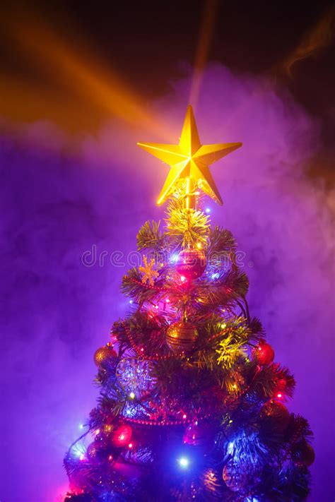 Christmas Tree With Shining Star And Frozen Mist Stock Photo Image Of