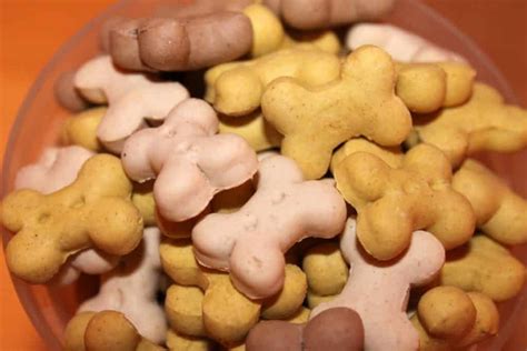 Yummy Homemade Homemade Dog Treats Healthy Dog Treats Healthy Dogs