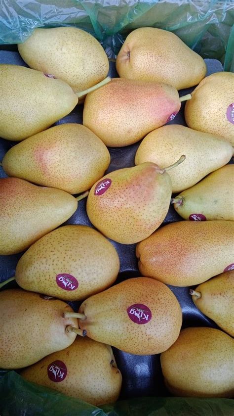 Yellow A Grade Fresh Pears Fruit Packaging Type Carton Packaging