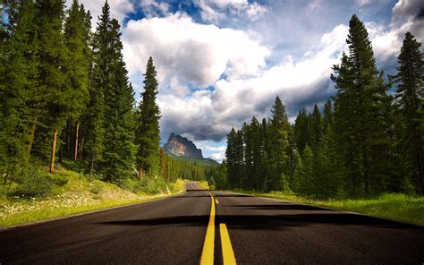 Trees Nature Road Forest Landscape Sky Mountain