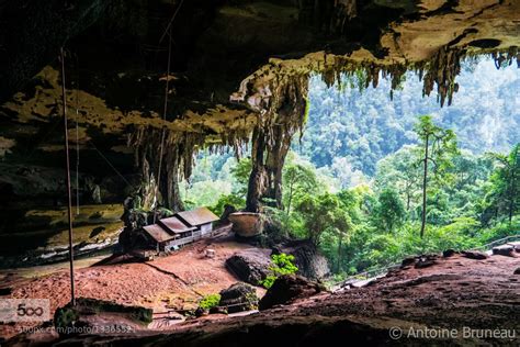 Niah Caves Borneo Borneo Sarawak Rainforest Destruction