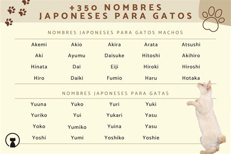 350 Nombres Japoneses Para Gatos ¡ideas Originales Y únicas