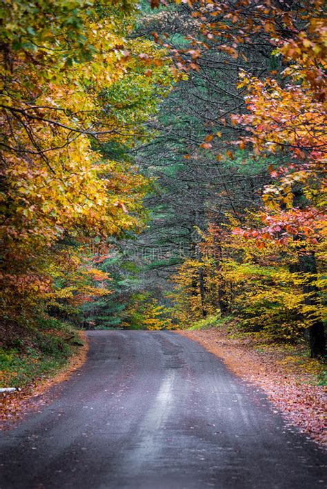 20895 Country Roads Photos Free And Royalty Free Stock Photos From