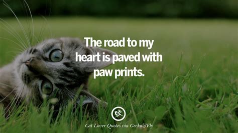A cute get well ecard for the one who is in bed. 25 Cute Cat Images With Quotes For Crazy Cat Ladies, Gentlemen And Lovers