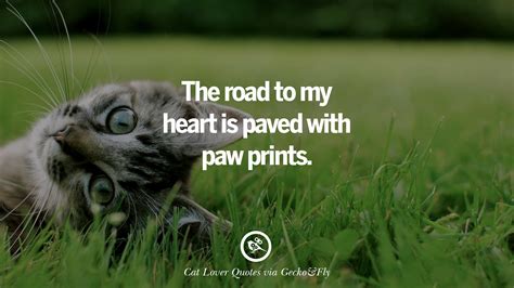 Maybe you would like to learn more about one of these? 25 Cute Cat Images With Quotes For Crazy Cat Ladies, Gentlemen And Lovers