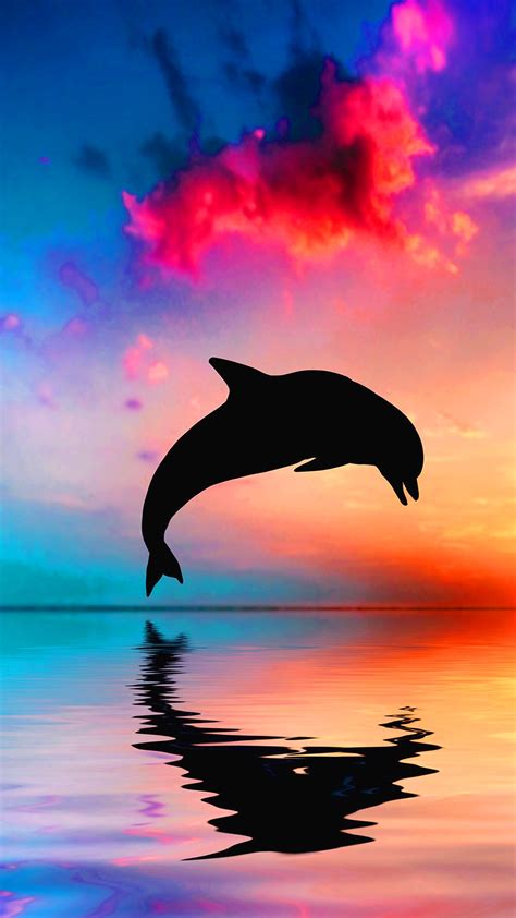 Dolphin Wallpapers Iphone Kolpaper Awesome Free Hd Wallpapers