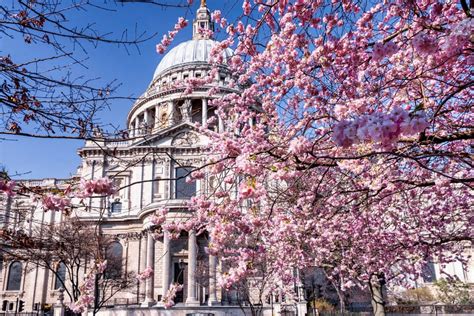 A Blooming Guide To Explore Londons Spring Flowers Montcalm Blog