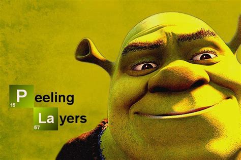 Shrek Meme Coopmasop