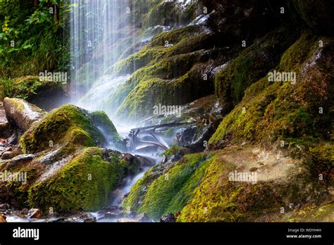 Moss Covered Waterfall Wutachschlucht Gorge Black Forest Baden