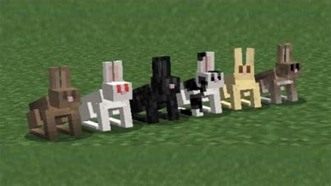 Minecraft Rabbits How To Tame