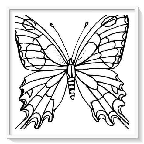 Dibujo De Mariposa Para Colorear E Imprimir Dibujos Y Colores Reverasite