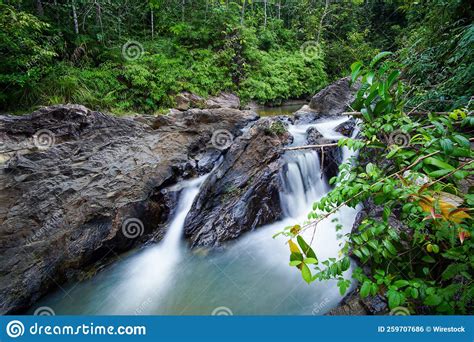 View Of Waterfalls Streaming In Scenic Green Wood Stock Photo Image