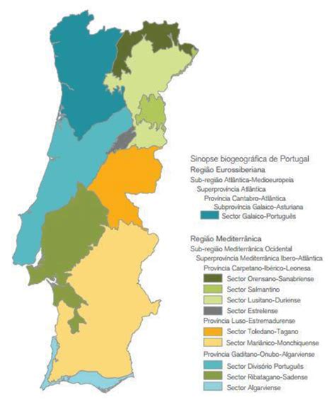 regiões biogeográficas de portugal continental download scientific diagram
