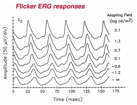 Figure 20 Flicker Erg Responses To Stimulation Webvision