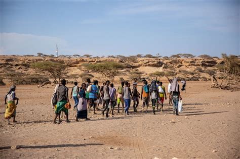 Plus De 7 400 Morts Sur Les Routes De Migration Africaines Ces Cinq Dernières Années Oim Onu
