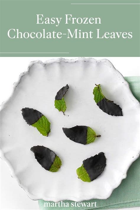 Frozen Chocolate Mint Leaves Recipe Recipe Mint Desserts Mint