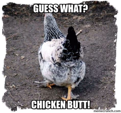 The Origin Of The Phrase Guess What Chicken Butt Neatorama