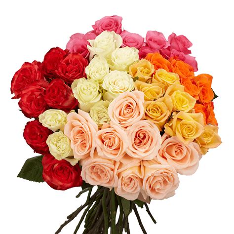 Wholesale Assorted Color Roses Flower Delivery | GlobalRose