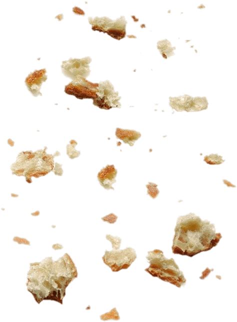 Large Number Of Bread Crumbs Crumbs Png Original Size Png Image