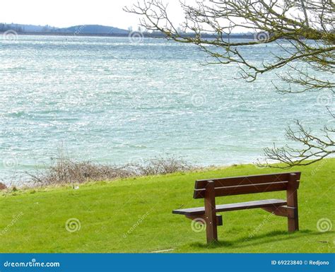 Bench By The Lake Stock Photo Image Of Tree Relax Water 69223840