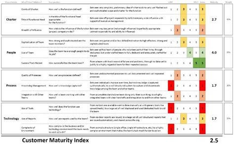 Customer Maturity Index Template