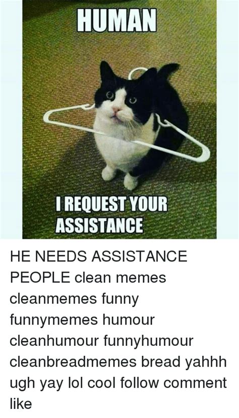 Human Request Your Assistance He Needs Assistance People Clean Memes Cleanmemes Funny Funnymemes