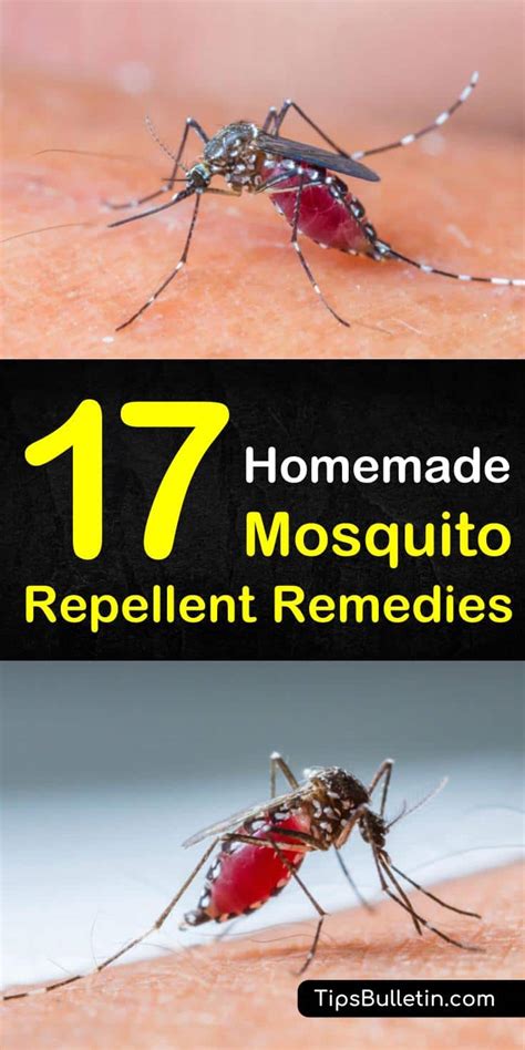 Diy Mosquito Control 17 Homemade Mosquito Repellent Remedies