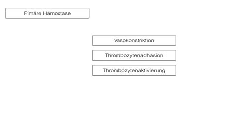 Themenwoche Blut Primäre Hämostase DocCheck