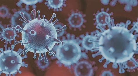 Surface Structure Of Coronavirus Decoded Findings May Aid Vaccine
