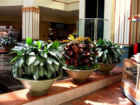 May 14, 2000 · listed below are the fortune 1000 companies listed by state for the year 2000. Some of our plants in Colonie Center Mall, Albany, NY ...