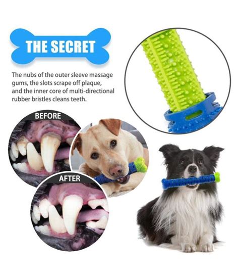 I find pet dental to be not just great on pricing but very honest and great quality work. House of Quirk Puppy Brush Dog Toothbrush Chew Toy Stick ...